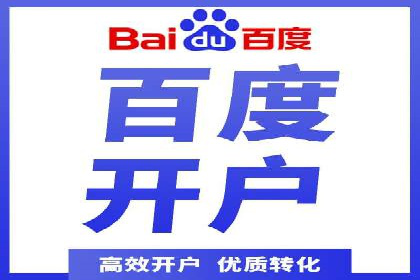 某某sem代运营公司：精准投放的背后策略